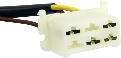 RMSTATOR Replacement Stator Exciter Source and Light Coil for Polaris Sport/Sprint ES 340 | Star 244 250 | Indy 340 400 440 Sport SKS SS | Trail 500 | 400 600 650 Indy 1985-1989 | 3083603 3083604 in Kuwait