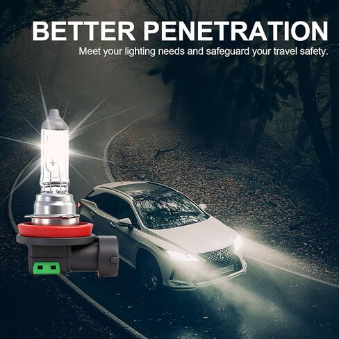 H11 Headlight Bulb, Halogen 12v 55w, Standard 3800K Warm White, Clear Light High Low Beam Fog Light Replacement Super Bright 2 pack in Saudi Arabia