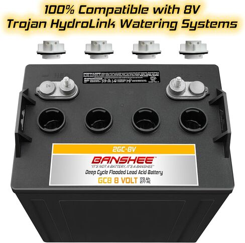 Banshee 8 Volt, 170 AH GC8 Deep Cycle Battery, Replaces Trojan T875-2 Pack in Kuwait