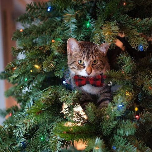 LUTER 2Pcs Christmas Plaid Cat Collars Breakaway with Bow Tie and Bells, Adjustable Collars for Cats, Kitten, Puppy Supplies (Red, Green) in Saudi Arabia