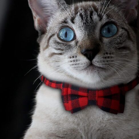 LUTER 2Pcs Christmas Plaid Cat Collars Breakaway with Bow Tie and Bells, Adjustable Collars for Cats, Kitten, Puppy Supplies (Red, Green) in Saudi Arabia