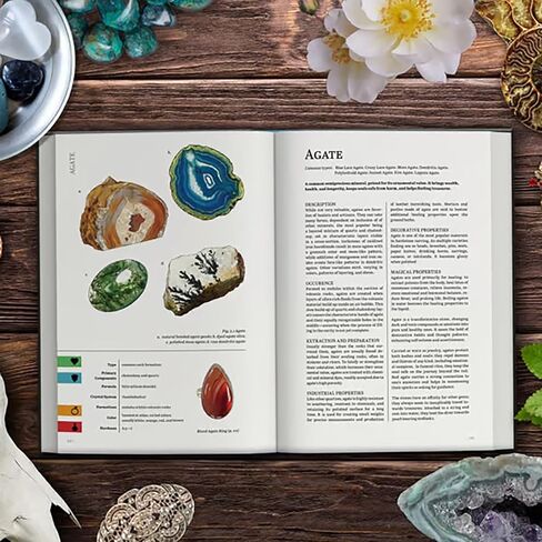 كتاب مرجعي لألعاب تقمص الأدوار منضدية من شركة Renegade Game Studios، وحملة ذات غلاف مقوى مكونة من 360 صفحة ودليل مرجعي للمعادن في بناء العالم in Kuwait