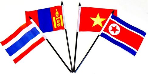 Southeast Asia Flag Set 20 Polyester 4x6 Inch Flags One Flag for Each Country in Southeast Asia in Saudi Arabia
