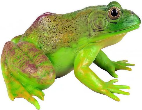 Gemini&Genius Tree Frog لعبة واقعية مرسومة يدويًا بحجم كبير تمثال ضفدع الثور نموذج بناء عالي الجودة حيوانات مطاطية ألعاب تعليمية ولعب الأدوار للأعمار من 3 سنوات فما فوق للأطفال in Kuwait