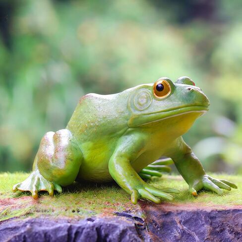 Gemini&Genius Tree Frog لعبة واقعية مرسومة يدويًا بحجم كبير تمثال ضفدع الثور نموذج بناء عالي الجودة حيوانات مطاطية ألعاب تعليمية ولعب الأدوار للأعمار من 3 سنوات فما فوق للأطفال in Kuwait