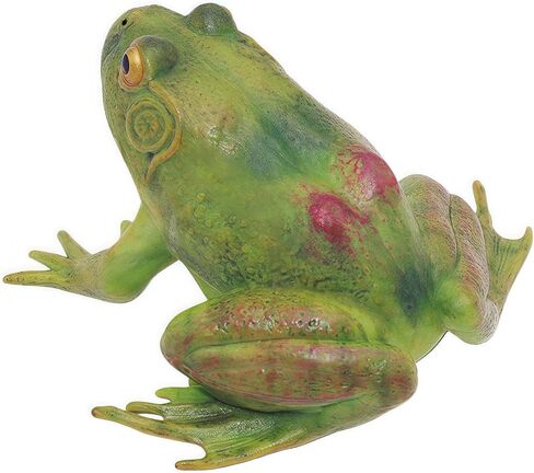 Gemini&Genius Tree Frog لعبة واقعية مرسومة يدويًا بحجم كبير تمثال ضفدع الثور نموذج بناء عالي الجودة حيوانات مطاطية ألعاب تعليمية ولعب الأدوار للأعمار من 3 سنوات فما فوق للأطفال in Kuwait