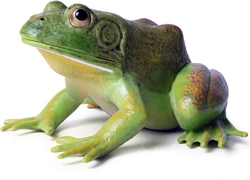 Gemini&Genius Tree Frog لعبة واقعية مرسومة يدويًا بحجم كبير تمثال ضفدع الثور نموذج بناء عالي الجودة حيوانات مطاطية ألعاب تعليمية ولعب الأدوار للأعمار من 3 سنوات فما فوق للأطفال in Kuwait