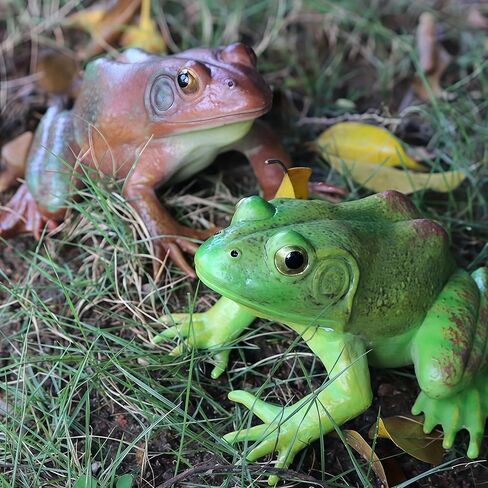 Gemini&Genius Tree Frog لعبة واقعية مرسومة يدويًا بحجم كبير تمثال ضفدع الثور نموذج بناء عالي الجودة حيوانات مطاطية ألعاب تعليمية ولعب الأدوار للأعمار من 3 سنوات فما فوق للأطفال in Kuwait