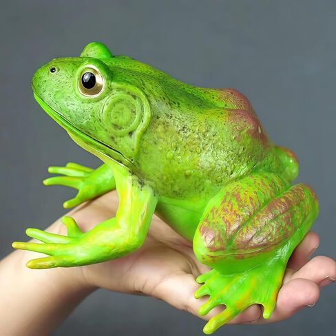 Gemini&Genius Tree Frog لعبة واقعية مرسومة يدويًا بحجم كبير تمثال ضفدع الثور نموذج بناء عالي الجودة حيوانات مطاطية ألعاب تعليمية ولعب الأدوار للأعمار من 3 سنوات فما فوق للأطفال in Kuwait