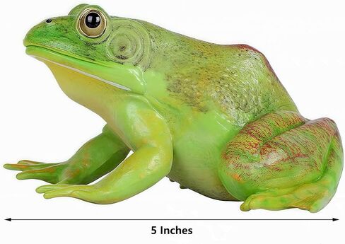 Gemini&Genius Tree Frog لعبة واقعية مرسومة يدويًا بحجم كبير تمثال ضفدع الثور نموذج بناء عالي الجودة حيوانات مطاطية ألعاب تعليمية ولعب الأدوار للأعمار من 3 سنوات فما فوق للأطفال in Kuwait
