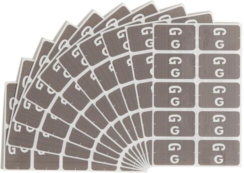 Smead AlphaZ ACCS Color-Coded Alphabetic Label, G, Gray, 100 Labels per Pack (67177) in Saudi Arabia