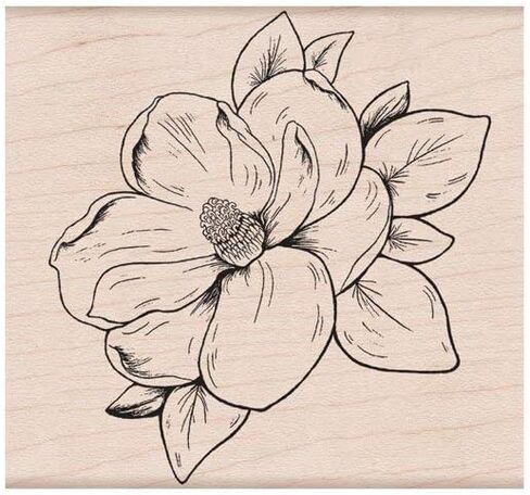 Hero Arts K6270 Flowering Magnolia Wood Mounted Rubber Stamp in Kuwait