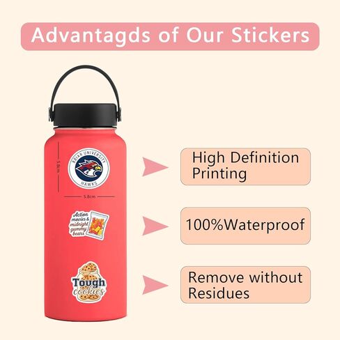 54PCS Off Campus Stickers, Waterproof Vinyl Briar U Stickers for Water Bottle, Laptop, Luggage, Phone in Kuwait