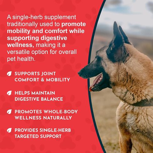 مستخلص عشبة اليوكا من Animal Essentials للكلاب والقطط، 1 أونصة سائلة - صنع في الولايات المتحدة الأمريكية، دعم المفاصل والجهاز الهضمي in Saudi Arabia