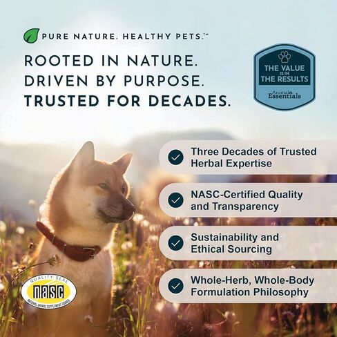 مستخلص عشبة اليوكا من Animal Essentials للكلاب والقطط، 1 أونصة سائلة - صنع في الولايات المتحدة الأمريكية، دعم المفاصل والجهاز الهضمي in Saudi Arabia