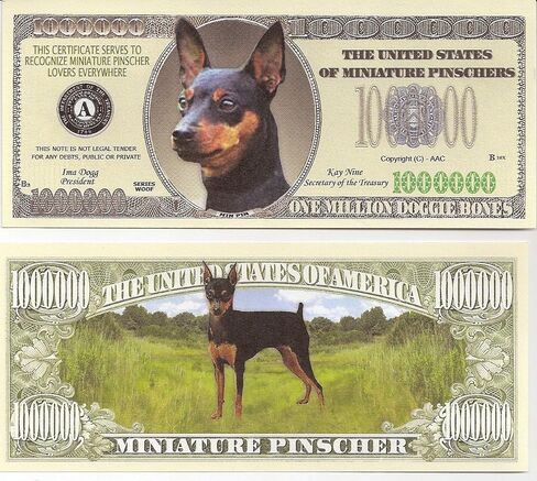 Miniature Pinscher $Million Dollar$ Novelty Bill Collectible in Kuwait