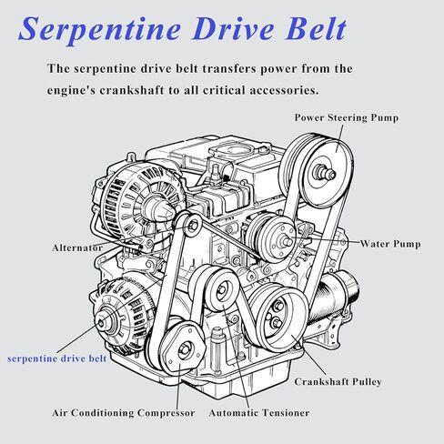 حزام محرك أفعواني من AUCERAMIC مناسب لهوندا CR-V CRV 2002-2006 2.4L، لدودج رام 1500 2004-2006 8.3L، لدودج فايبر 2003-2006 8.3L استبدال K070683 31110RLF003 7PK1735 in Kuwait