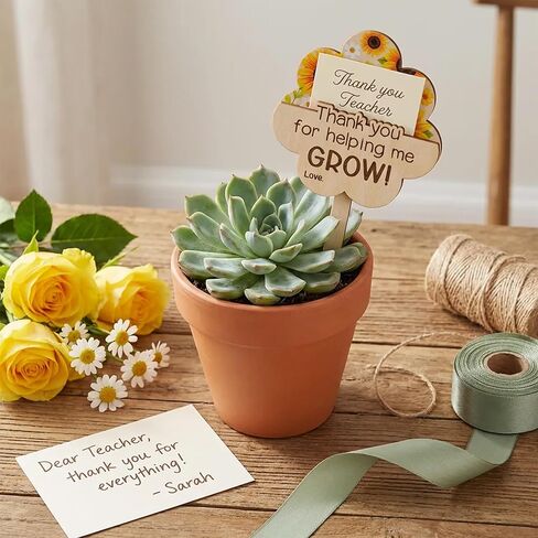 HYPERI 2 Pcs Teacher Gift Card Holder, Teacher Appreciation Gift Card Holder, Thank You for Helping Me Grow Plant Sign, Appreciation Week, Thank You Gifts for Teachers in Saudi Arabia