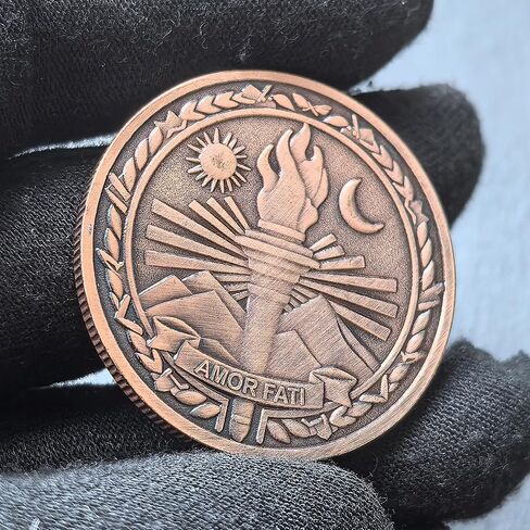Amor Fati Challenge Coin 1.57" Zinc Alloy with Protective Case – Stoic Philosophy Pocket Token of Resilience & Perseverance, Motivational Gift for Daily EDC in Kuwait