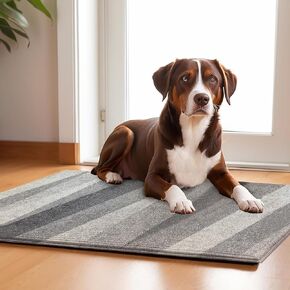 16x16 Inches Dog Door Mat, Non-Slip Washable Floor Mat for Muddy Paws, Removable Entry Indoor Mud Mat for Pets Use(2Pack, Colorful Geometric)