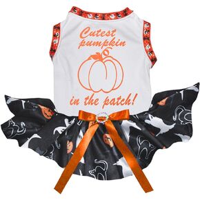Petitebella Cutest Pumpkin in The Patch Puppy Dog Dress (Black/Pumpkin Cobweb, Medium)