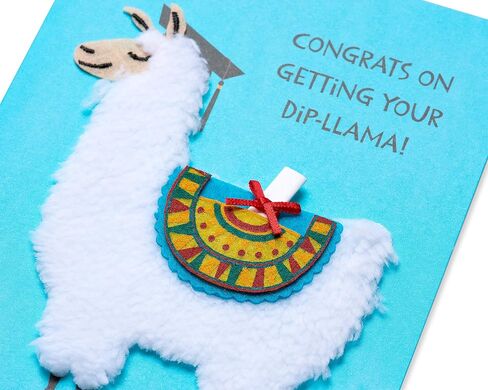 Papyrus Funny Graduation Card (Congrats, Grad) in Kuwait