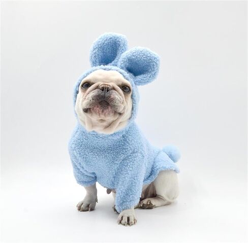 سترة شتوية من القطيفة للكلاب والقطط والحيوانات الأليفة، سترة شتوية من القطيفة، أزياء أرنب وأرنب للارتداء اليومي في العطلات (صغير، وردي) in Kuwait