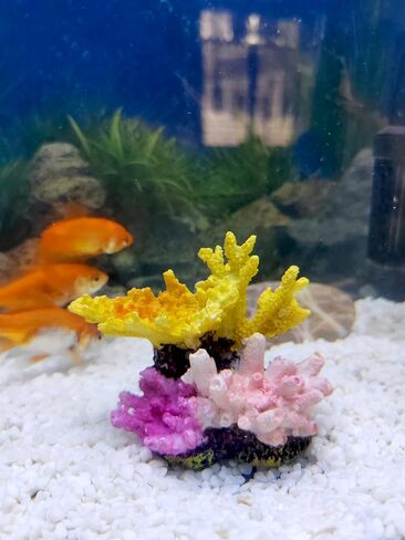 Aquarium Colorful Coral Reef Aquarium Decoration Accessories for 10 Gallon Fish Tank Environments in Saudi Arabia