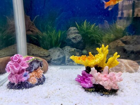 Aquarium Colorful Coral Reef Aquarium Decoration Accessories for 10 Gallon Fish Tank Environments in Saudi Arabia