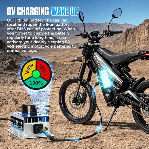 67.2V 10A Dirt Bike Battery Charger Compatible for 60V Talaria Sting 4000 Series X3 X3C L1E MX3 MX4 Dirt Motorcycle IP67 Waterproof & 0V Wake Up &8 Protection 60 Volt Li-on Lithium Battery Charger in Kuwait