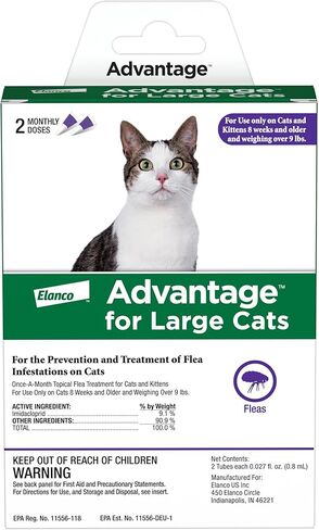 Advantage Topical Cat Flea Treatment and Prevention for Large Cats Over 9 lbs. | Apply Flea Drops Monthly | 2 Treatments in Saudi Arabia