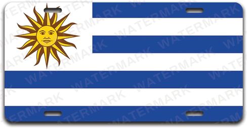 Custom World Country Flags License Plates Personalized Custom Novelty Tag Vehicle Car Auto Motorcycle Moped Bike Bicycle Countries of The World Custom License Plate (Germany) in Saudi Arabia