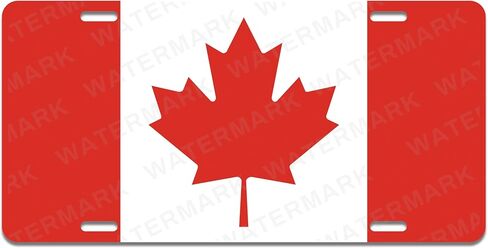 Custom World Country Flags License Plates Personalized Custom Novelty Tag Vehicle Car Auto Motorcycle Moped Bike Bicycle Countries of The World Custom License Plate (Germany) in Saudi Arabia