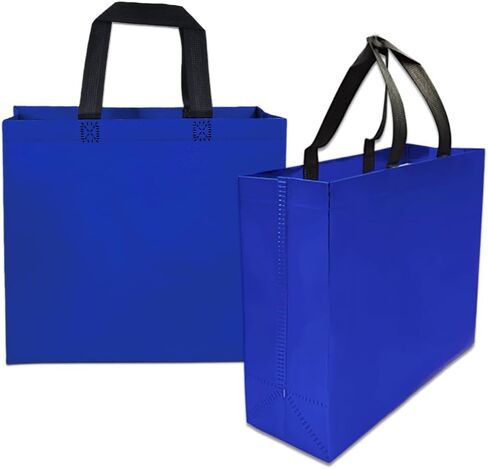 huichuan 12 Pack Iridescent Reusable Gift Bags with Handles Bulk, Holographic Rainbow Tote Bag for Women Kids, Eco-Friendly Non-Woven Party Favor Goodie Bags for Birthday, Valentine, Baby Shower, Wedding Treats in Saudi Arabia