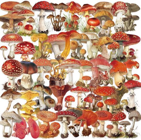 50 PCS PET Sea Shell Stickers, Waterproof Transparent Conch Stickers Mermaid Pearl Shell Decals for Scrapbook DIY Crafts Album Bullet Skateboard, Fridge, Laptop, Phone, Luggage（Shell） in Saudi Arabia