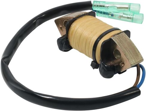 الجزء الثابت المغناطيسي، استبدال الجزء الثابت الجديد OEM: 68T-85520-00، لياماها 6HP F6 2000-2017 لياماها 8HP F8 2000-2022، لياماها 8HP FT8 T8، لياماها 9.9HP F9.9 لياماها FT9.9 T9.9 in Kuwait