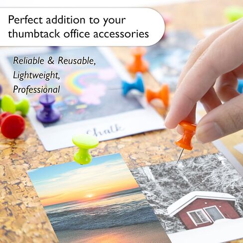 BAZIC Push Pins, Jumbo Plastic Head, Assorted Color Thumb Tacks Steel Point Pin for Cork Bulletin Board Map Posters Office School (25/Pack), 1-Pack in Kuwait
