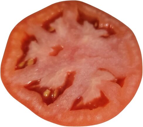 Tomato Slice Silicone Mold | Realistic Food Shape Mold for Soap Embeds | Candle Embeds Mold| Wax Melts Silicone Mold| Not Food Grade in Saudi Arabia