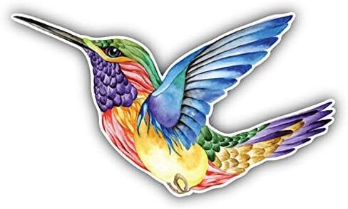 Watercolor Hummingbird Sticker for Scrapbooking Waterproof Vinyl Stickers for Water Bottle, Laptop & Phone Case 50 Pack in Kuwait