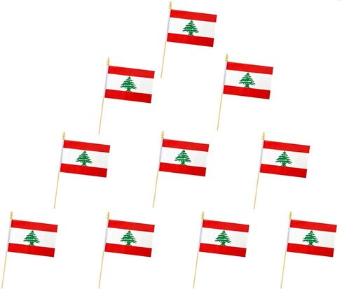 10 عبوات من أعلام لبنان - علم محمول LB - علم سطح المكتب - 5x8 بوصة، علم لبناني صغير. مناسبة لديكورات الحفلات، وعروض المتاجر، وديكورات الحانات، وعروض اليوم الوطني. in Kuwait
