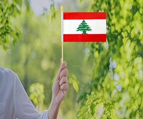 10 عبوات من أعلام لبنان - علم محمول LB - علم سطح المكتب - 5x8 بوصة، علم لبناني صغير. مناسبة لديكورات الحفلات، وعروض المتاجر، وديكورات الحانات، وعروض اليوم الوطني. in Kuwait