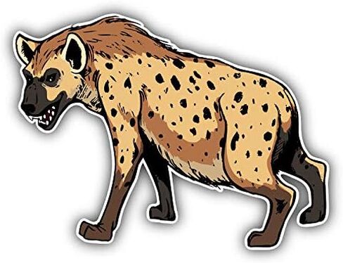 Hyena African Animal Sticker for Scrapbooking Waterproof Vinyl Stickers for Water Bottle, Laptop & Phone Case 50 Pack in Kuwait