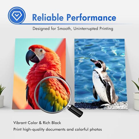 LC501 MFC-J1360DW Ink Cartridges for Brother Printer LC501XL LC 501 Series Inks for Brother Work Smart 1360 MFC-J1260W MFC-J1260DW MFC-J1410DW MFCJ1360DW MFC J1360DW (4Pack Black Cyan Magenta Yellow) in Kuwait
