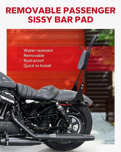 مسند ظهر للركاب قابل للفصل من Amazicha، مسند ظهر Sissy Bar مناسب لـ Harley Davidson 2004-2024 Sportster XL1200 XL883 Superlow Iron 48، أسود in Kuwait