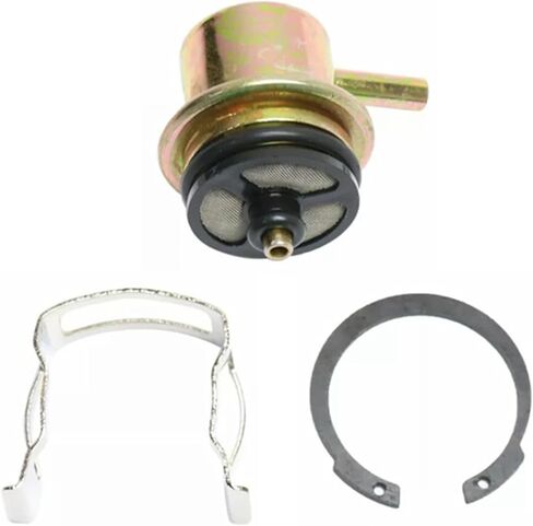 Fuel Injection Pressure Regulator - Kit with Clip and Snap Ring, 3.8BAR, Replaces 19236428, 2173299 in Saudi Arabia