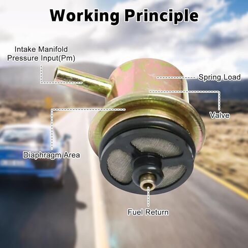 Fuel Injection Pressure Regulator - Kit with Clip and Snap Ring, 3.8BAR, Replaces 19236428, 2173299 in Saudi Arabia
