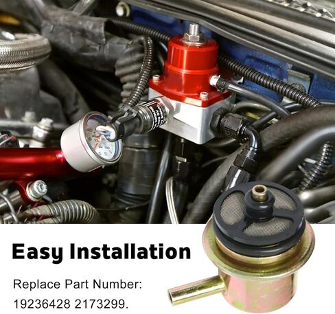 Fuel Injection Pressure Regulator - Kit with Clip and Snap Ring, 3.8BAR, Replaces 19236428, 2173299 in Saudi Arabia