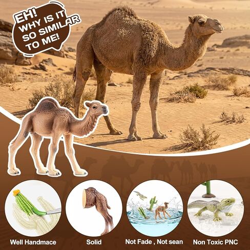 8PCS Realistic Desert Animal Figures Playset, Plastic Camel Toys, Cactus Figurines & Reptile Toys for Kids 3-5, Perfect for Diorama Supplies, Toddler Boy Toy, Cake Toppers in Saudi Arabia