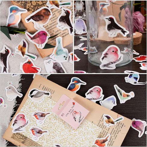 46 Pcs Bird Scrapbook Stickers Cute Cartoon Birds Decals Watercolor Bird Stickers for Water Bottles, Laptop, Notebook, Scrapbook, Luggage, Cell Phone, Skateboard, Helmet (Little Sparrow) in Saudi Arabia