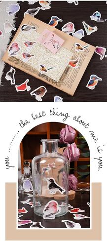 46 Pcs Bird Scrapbook Stickers Cute Cartoon Birds Decals Watercolor Bird Stickers for Water Bottles, Laptop, Notebook, Scrapbook, Luggage, Cell Phone, Skateboard, Helmet (Little Sparrow) in Saudi Arabia